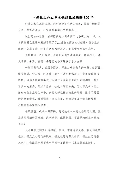 中考散文作文乡水悠悠让我陶醉800字