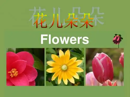 《花儿朵朵》公开课(幼儿园PPT课件)