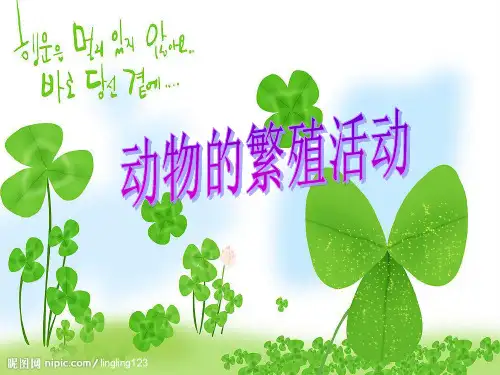 动物的繁殖活动