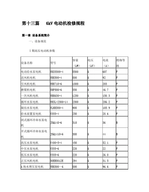第十三篇6kV电动机检修规程