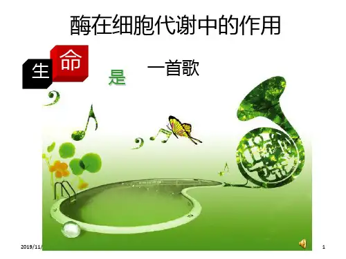 酶在细胞代谢中的PPT课件