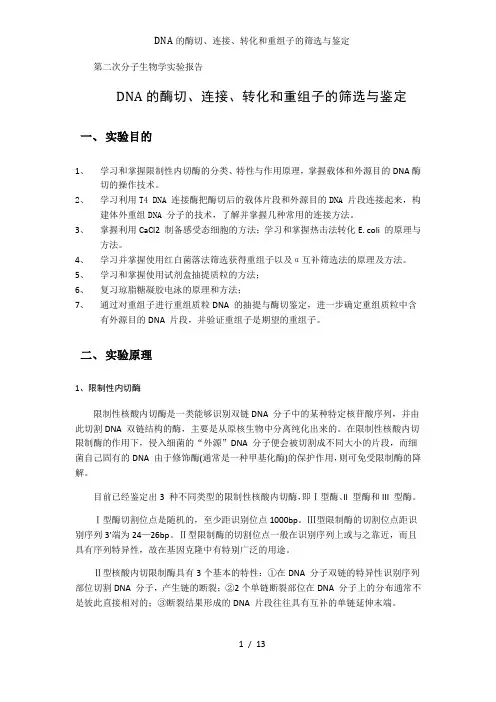 DNA的酶切、连接、转化和重组子的筛选与鉴定
