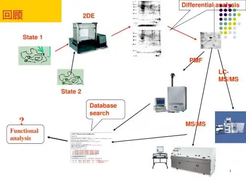 电泳图谱的图像分析及蛋白质消化技术ppt课件