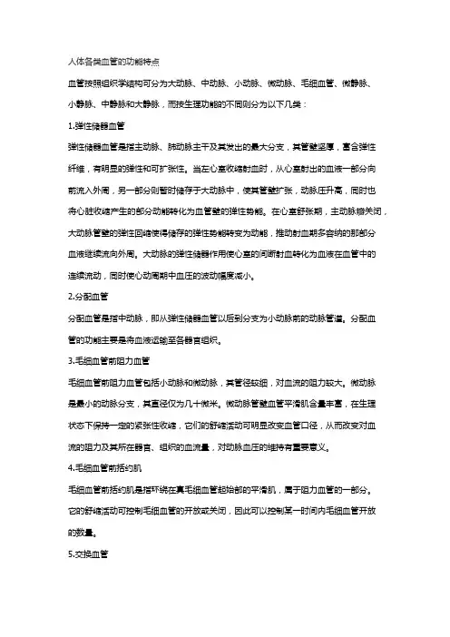 人体各类血管的功能特点