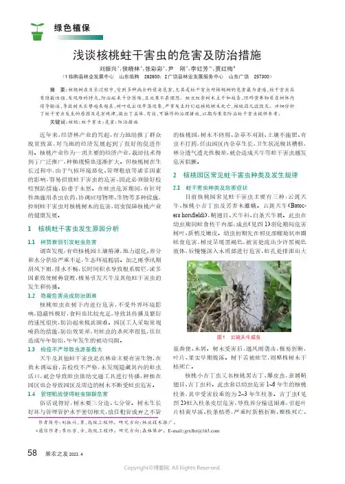 浅谈核桃蛀干害虫的危害及防治措施