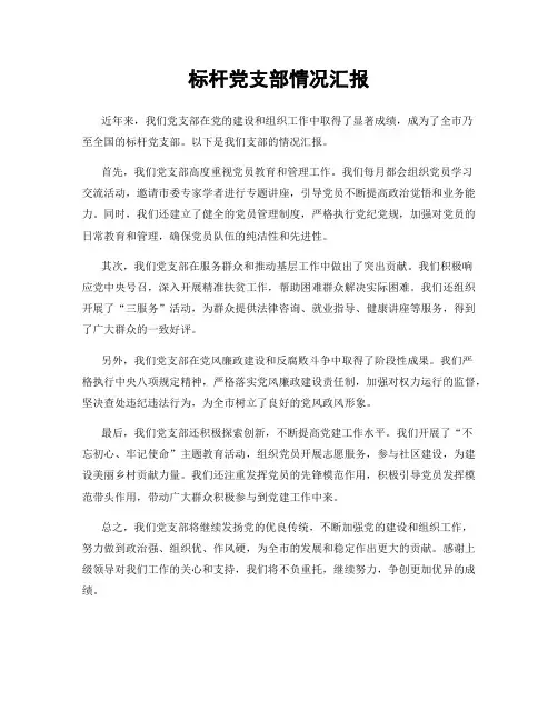 标杆党支部情况汇报