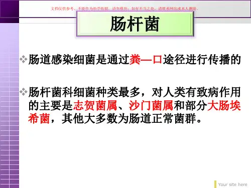 肠道感染细菌医学知识宣教培训课件