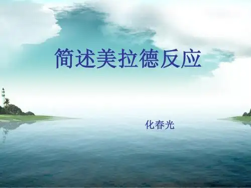 简述美拉德反应