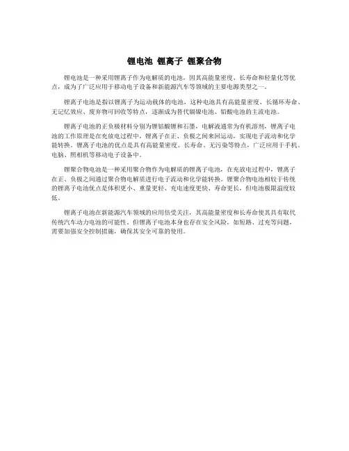锂电池 锂离子 锂聚合物