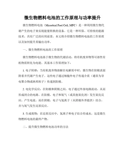 微生物燃料电池的工作原理与功率提升