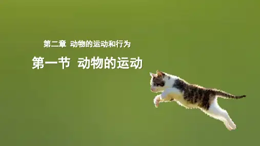 生物人教八年级上册 第五单元《生物圈中的其他生物》第二章 第一节 动物的运动 精品课件