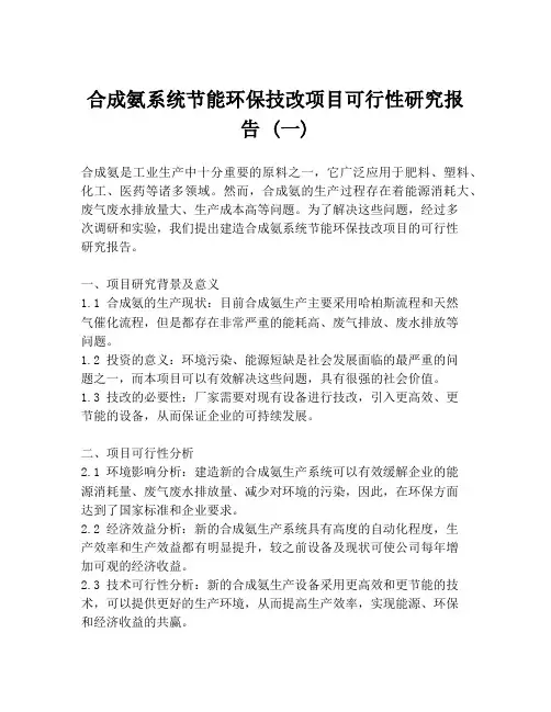 合成氨系统节能环保技改项目可行性研究报告 (一)