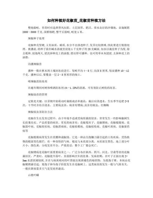 如何种植好花椒苗_花椒苗种植方法