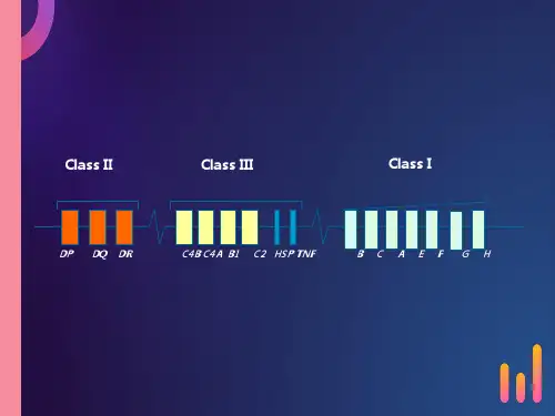 医学免疫学第6版课件B淋巴细胞