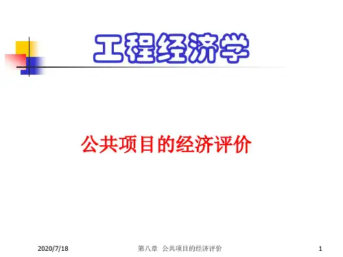 公共项目的经济评价.pptx