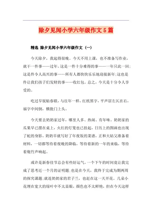 除夕见闻小学六年级作文5篇