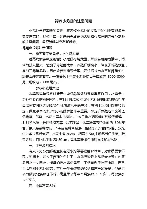 饲养小龙虾的注意问题