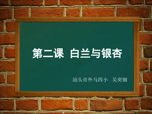 (三下)科学PPT课件《植物的身体》 人教版 (14张)
