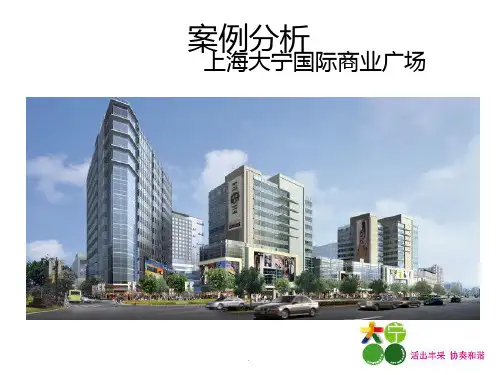 大宁国际案例分析PPT课件