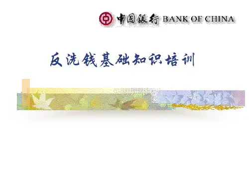银行反洗钱基础知识培训讲义