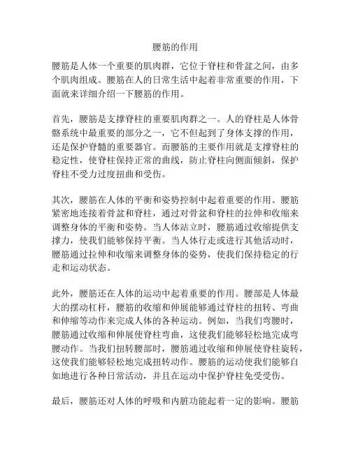 腰筋的作用