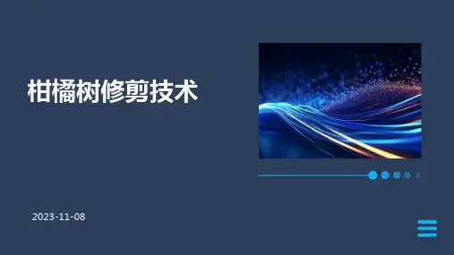柑橘树修剪技术