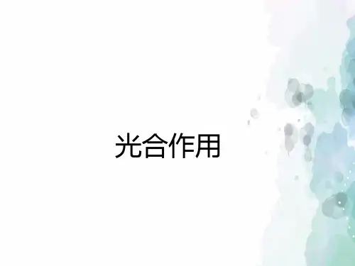 北师大版生物-七年级上册-3.5.1光合作用课件新版