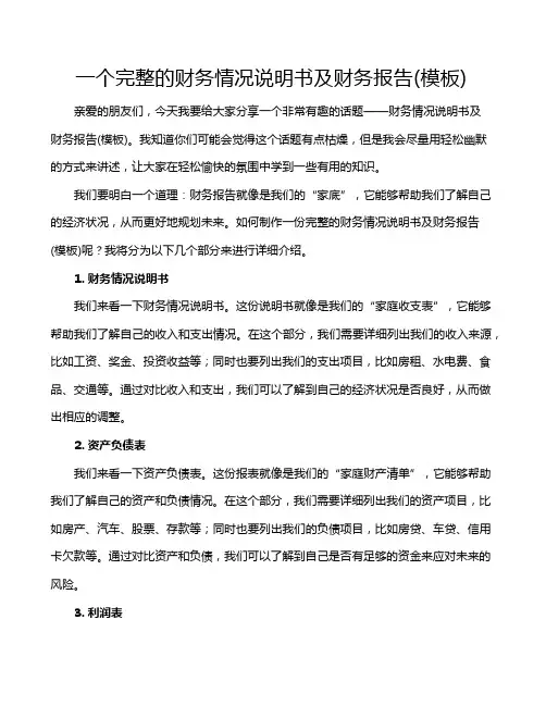 一个完整的财务情况说明书及财务报告(模板)