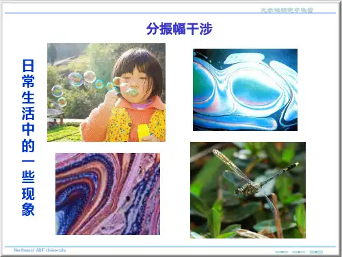 第三节 分振幅干涉
