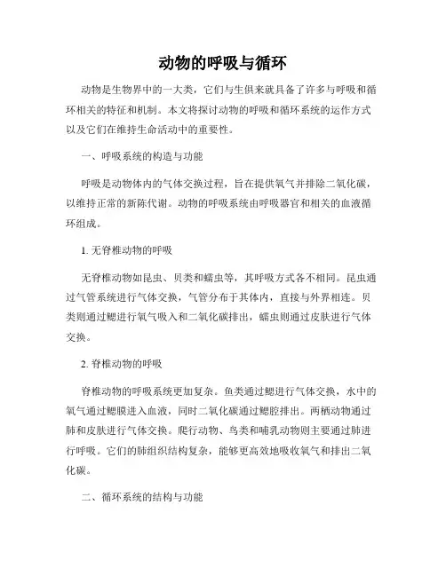 动物的呼吸与循环