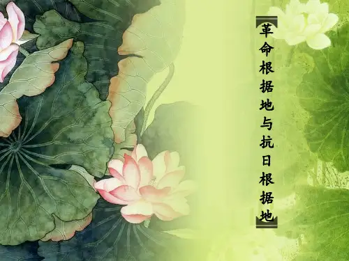 革命根据地与抗日根据地ppt课件