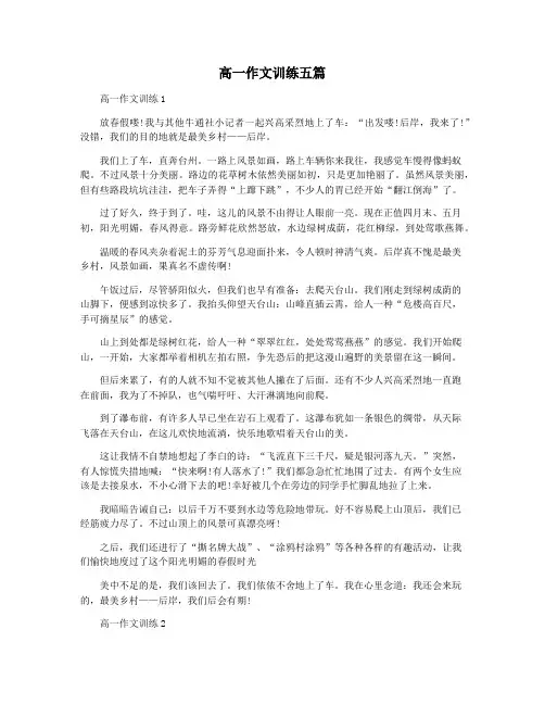 高一作文训练五篇