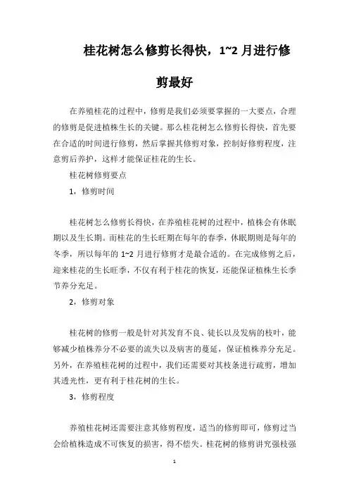 桂花树怎么修剪长得快,1~2月进行修剪最好