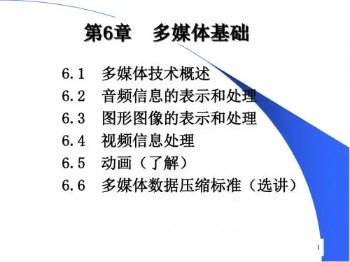 多媒体基础知识概述PPT(66张)