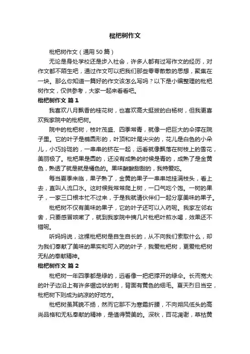枇杷树作文（通用50篇）