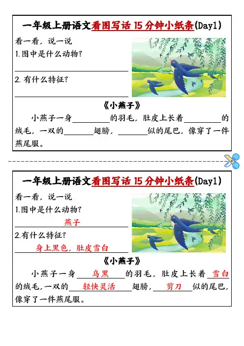 一年级小学生看图写话练习卡片每日练