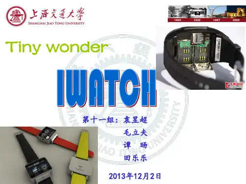 iwatch营销计划书解析