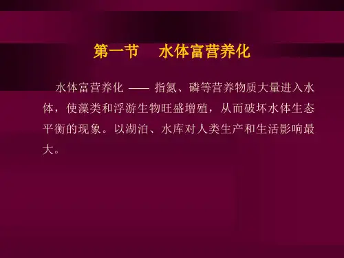 最新微生物对环境的污染与危害PPT课件
