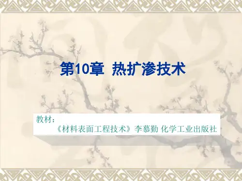 第10章 热扩渗技术-用