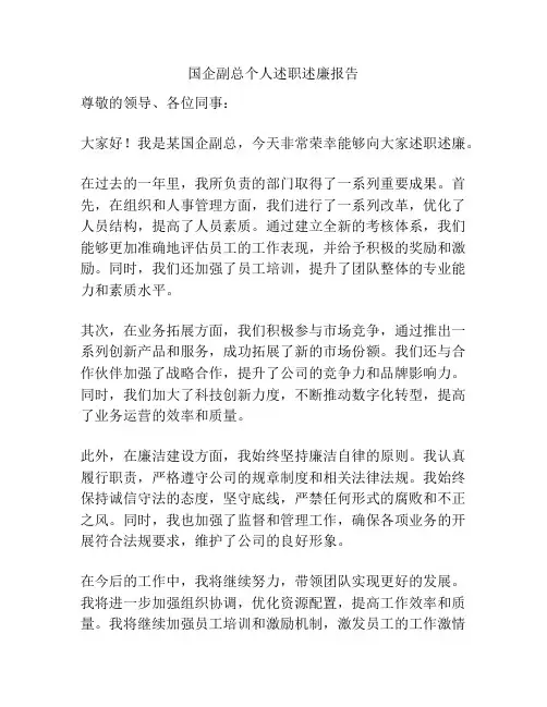 国企副总个人述职述廉报告