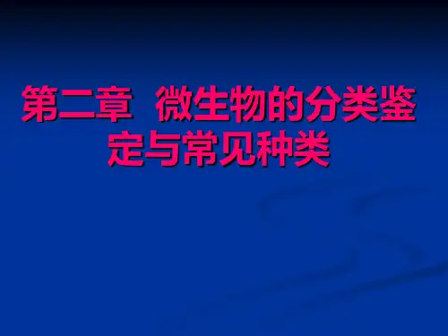 第二章微生物的分类鉴定
