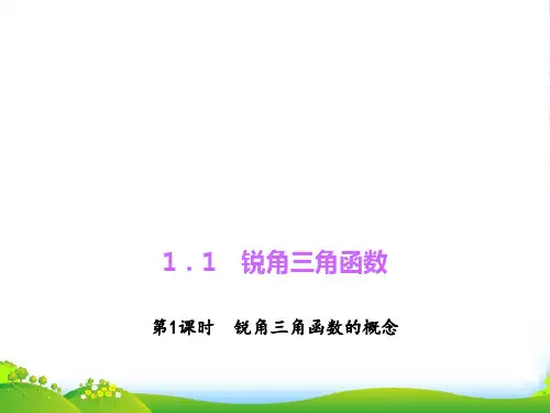 新浙教版九年级数学下册第一章《锐角三角函数的概念》公开课课件