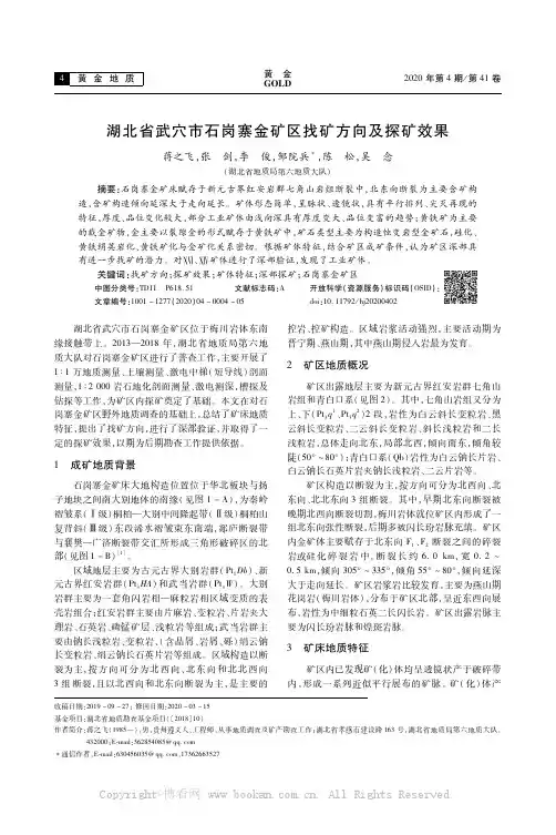 湖北省武穴市石岗寨金矿区找矿方向及探矿效果