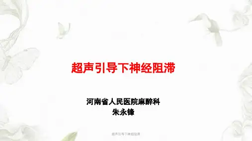 超声引导下神经阻滞ppt课件