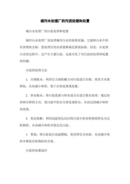 城污水处理厂的污泥处理和处置
