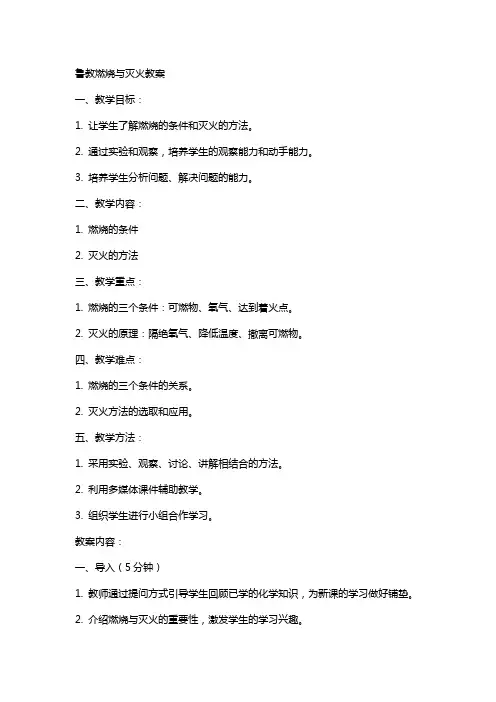 鲁教燃烧与灭火教案