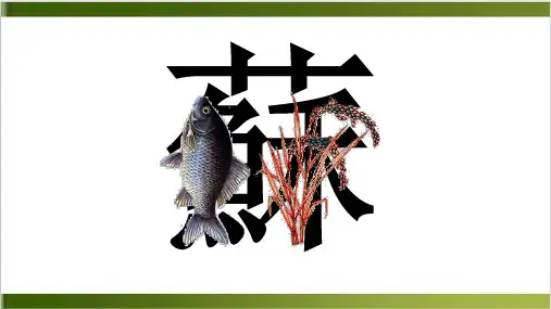 第七章第二节鱼米之乡——长江三角洲地区精品PPT(共25张PPT)