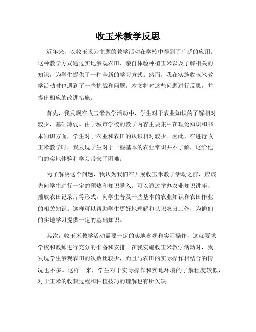 收玉米教学反思