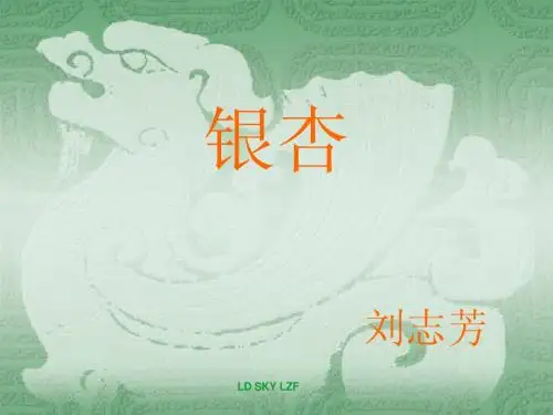 天下第一银杏树及银杏的价值PPT