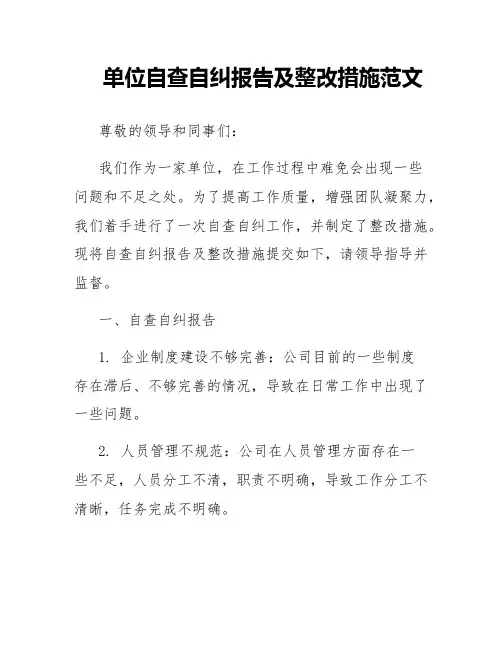 单位自查自纠报告及整改措施范文